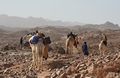 Algerien - Tamanrasset März 2008 Kameltour Tag 5