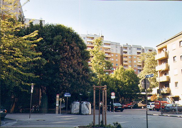 01.jpg