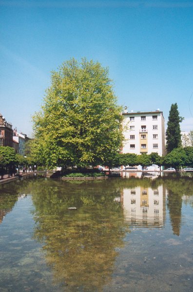 07.jpg