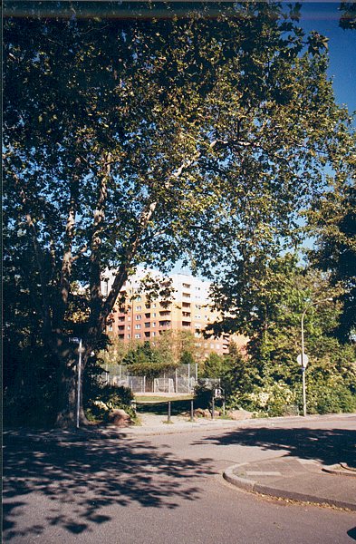 09.jpg