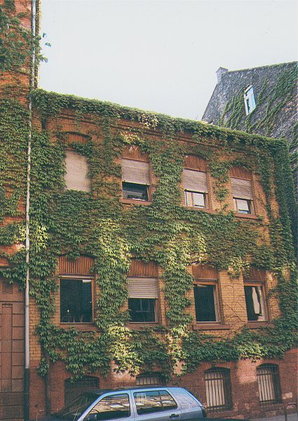 06.jpg