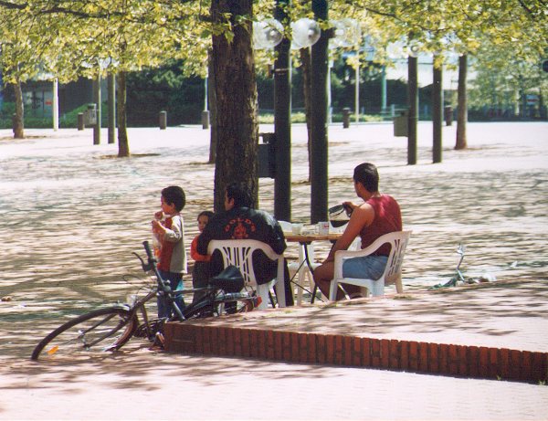 03.jpg