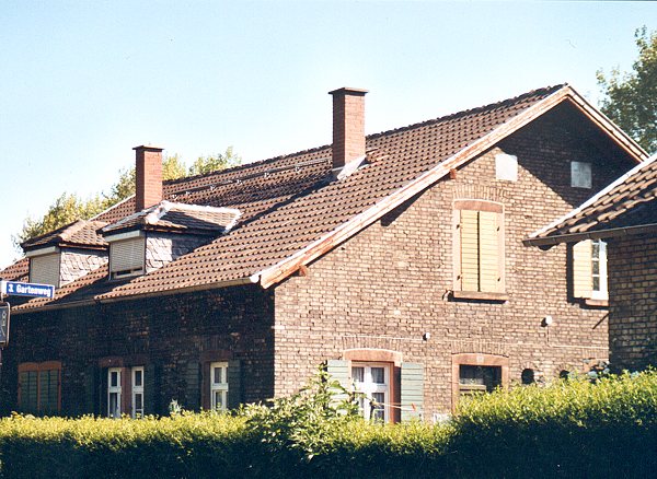 06.jpg