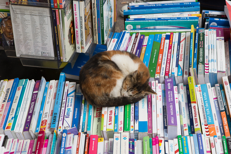 Sahaflar Book market