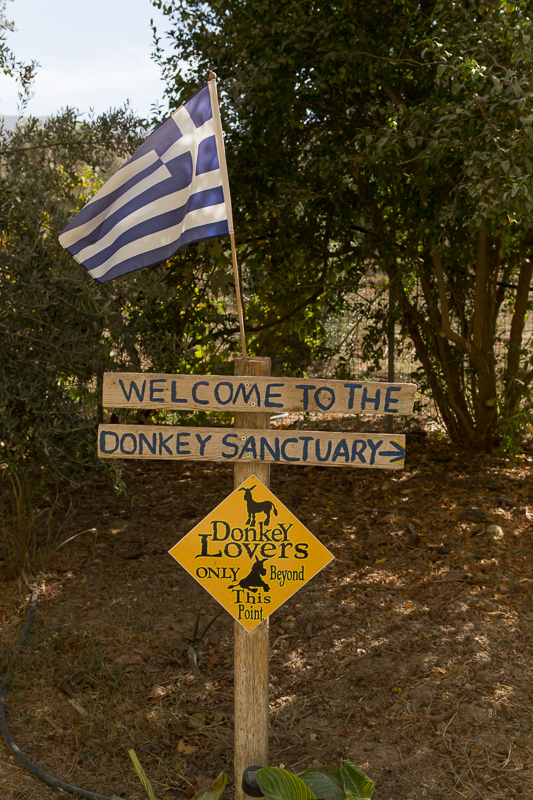 Agia Marina Donkey Rescue