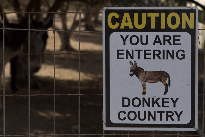 Agia Marina Donkey Rescue