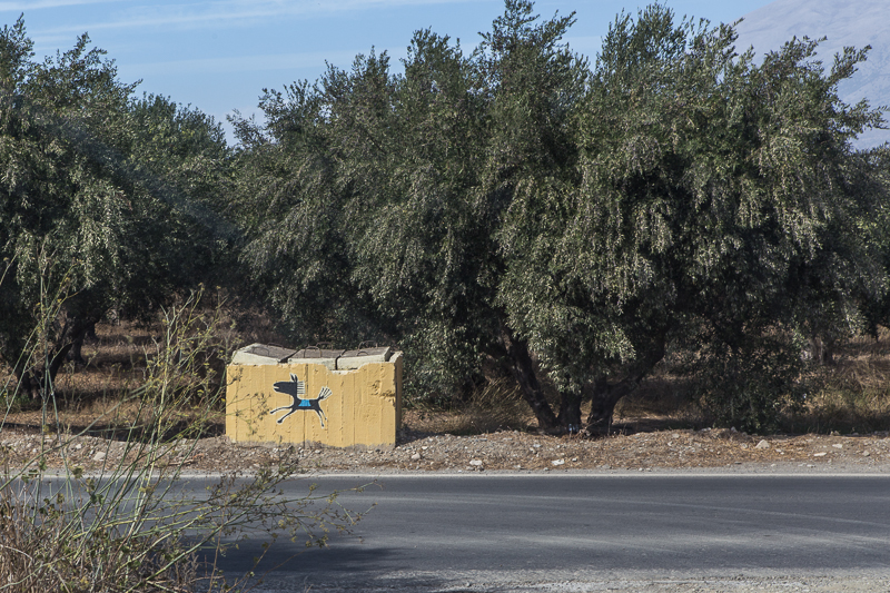 Agia Marina Donkey Rescue