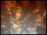 digital image