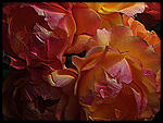 digital image