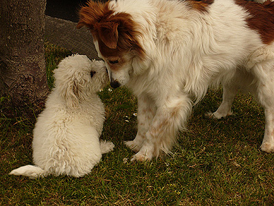 street gossip